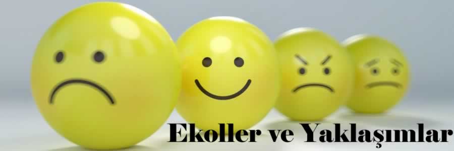 En Çok Satan, İyi, Okunan, Okunması Gereken, Güzel, Ünlü, Popüler, Ucuz, İndirimli, Kampanyalı, Yeni, Güncel, Son Çıkan Psikoloji Ekoller - Yaklaşımlar Kitapları satın al